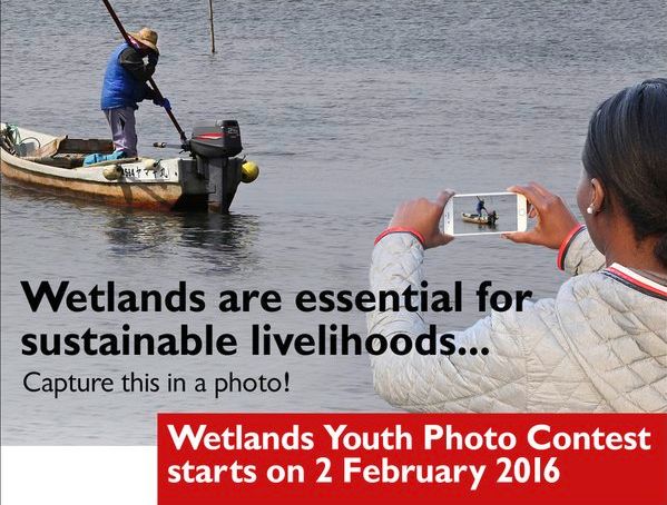 Wetlands Youth Photo Contest