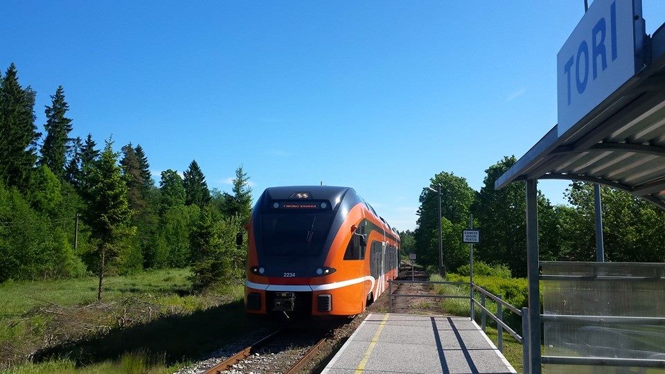 from Tallinn to Soomaa national park by train