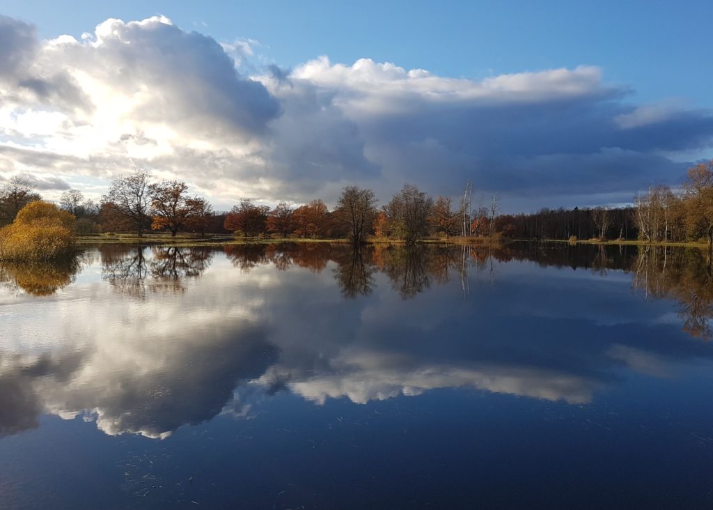 Wilderness experience in Estonia - Soomaa