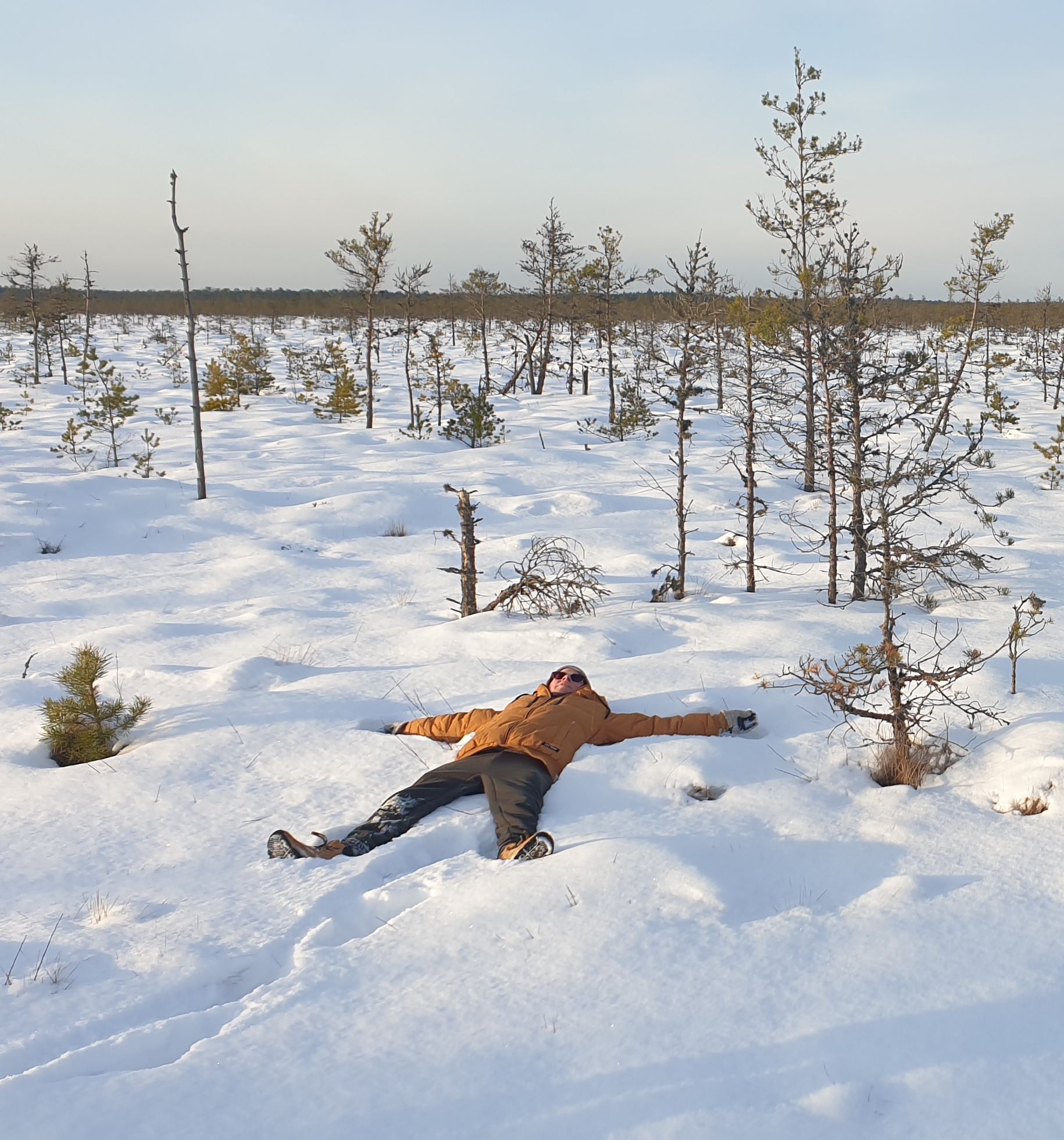 Winter in Soomaa National Park